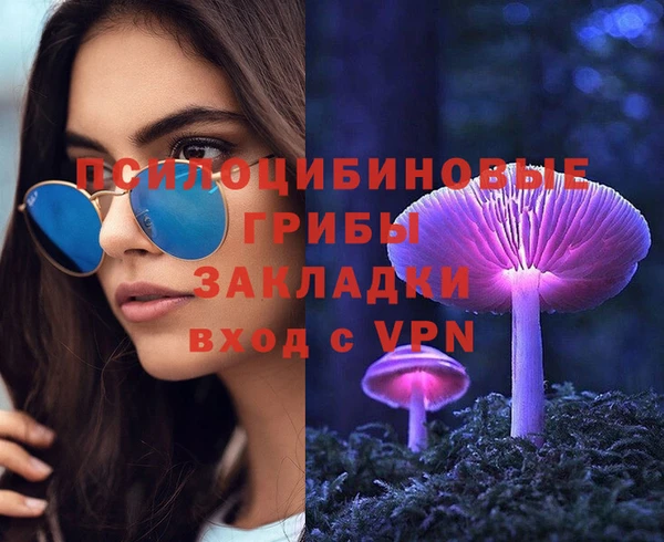 героин Алексин