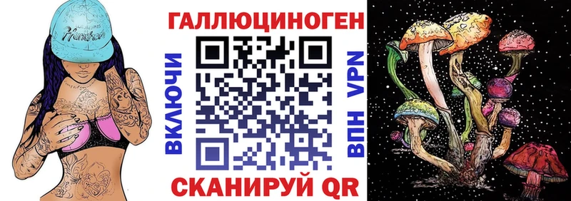 Псилоцибиновые грибы Cubensis  Нытва 